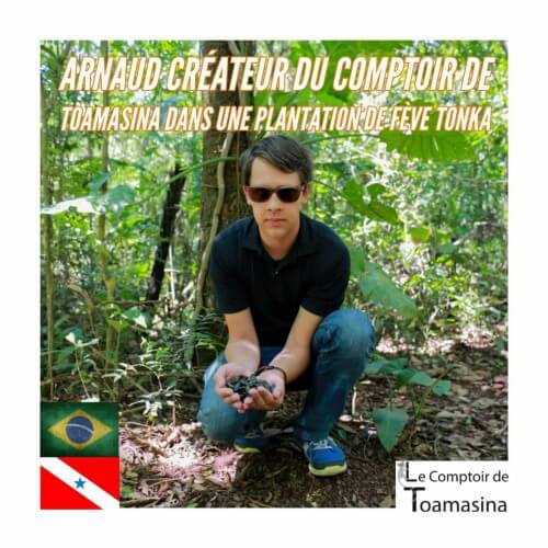 fava tonka pelo quilo - Arnaud Vanille em uma plantação de baunilha no Brasil
